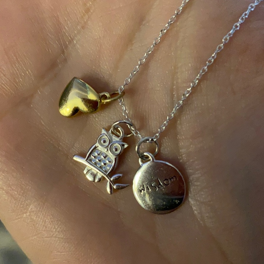 Silver and Gold Owl Wisdom Necklace